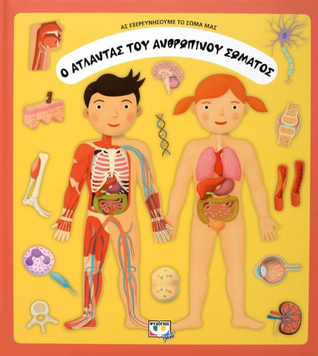 262427.jpg Ο άτλαντας του ανθρωπίνου σώματος
