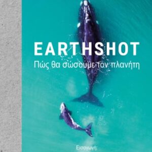 Earthshot